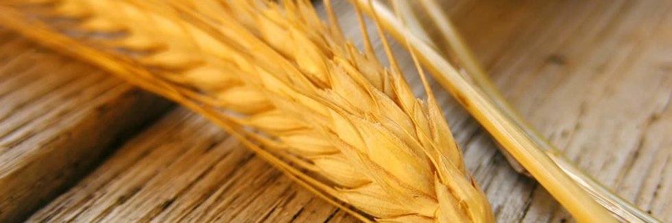 Farine, semi e cereali