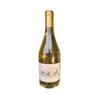 Vermentino di Sardegna Doc "Dieci Cavalli" - Conte de Quirra