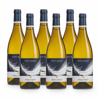 Pinot Bianco Sudtirol Doc - 6 bottiglie - Klaus Lentsch