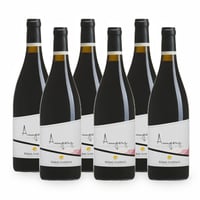 Lagrein Riserva Amperg Sudtirol DOC - 6 bottiglie- Klaus Lentsch