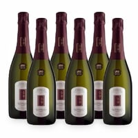 Vigneto Giardino Dry Prosecco Superiore Valdobbiadene Docg Rive di Colbertaldo - 6 bottiglie