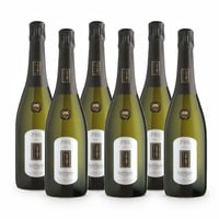 Bosco di Gica brut - Valdobbiadene DOCG Prosecco Superiore - 6 bottiglie