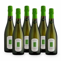 Col Fondo Valdobbiadene Prosecco Superiore Docg Sui Lieviti Brut Nature - 6 bottiglie