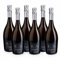 Ribolla Gialla Vino Spumante Brut - 6 bottiglie - Villa Vitas