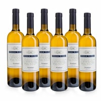 Friulano Friuli DOC - 6 bottiglie - Villa Vitas