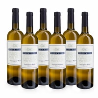Sauvignon Blanc Friuli DOC - 6 bottiglie - Villa Vitas