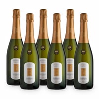 Dei Casel Extra Dry Valdobbiadene DOCG Prosecco Superiore - 6 bottiglie