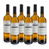 Traminer Aromatico Friuli DOC - 6 bottiglie - Villa Vitas