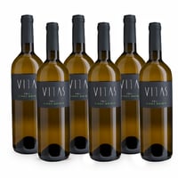 Pinot Grigio Friuli DOC - 6 bottiglie - Villa Vitas