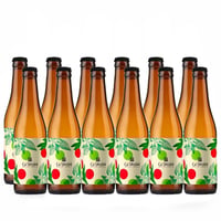 Birra chiara ad alta fermentazione Bianca - 12 bottiglie - Ca' Verzini