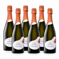 Franciacorta Docg Brut - 6 bottiglie - Ater Collis