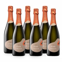 Franciacorta Docg Saten - 6 bottiglie - Ater Collis