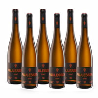 Paulessen Zenit Riesling - 6 bottiglie - Andreas Bender