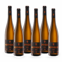 Hofpasch Zenit Riesling Mosella - 6 bottiglie - Andreas Bender