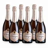 Ciampa Metodo Classico Brut Millesimato - 6 bottiglie