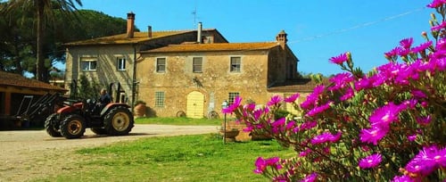 La Valentina: scopri i prodotti