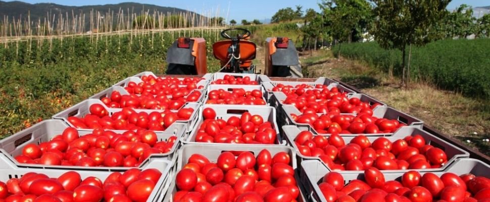 Urselli Food: scopri i prodotti