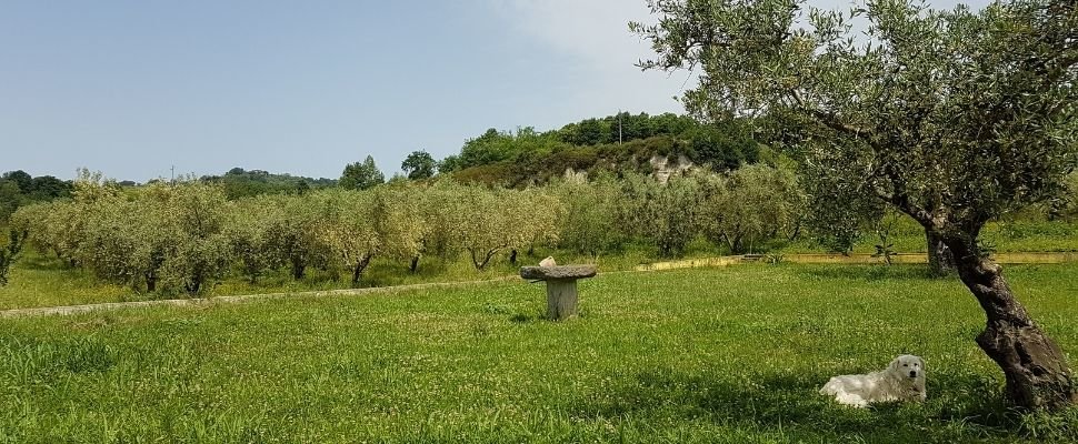 Masseria delle Stagioni: scopri i prodotti