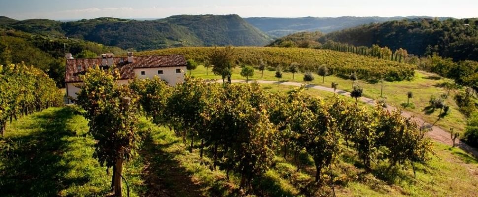 Del Rebene: scopri i prodotti
