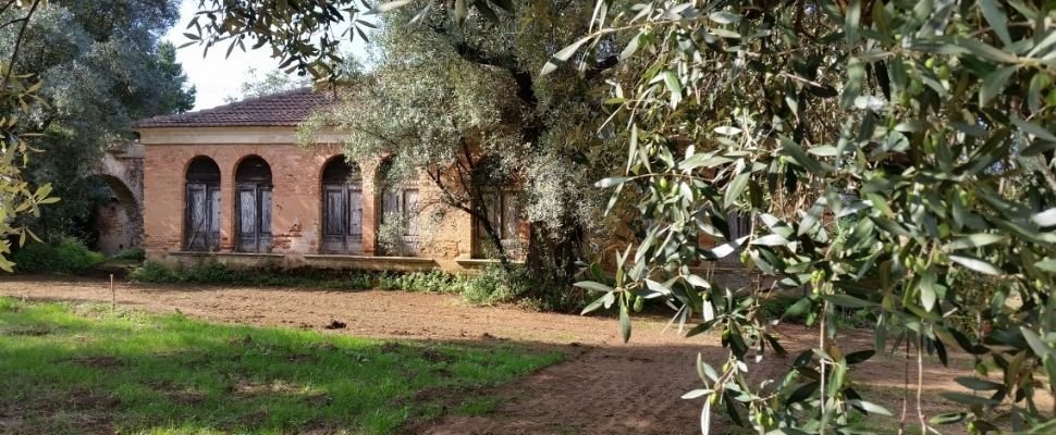 Azienda Agricola Francesca De Leo Alberti: scopri i prodotti