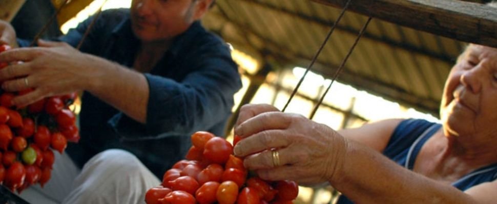 Sapori Vesuviani: scopri i prodotti