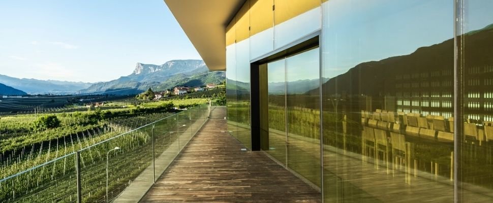 Cantina Merano: scopri i prodotti