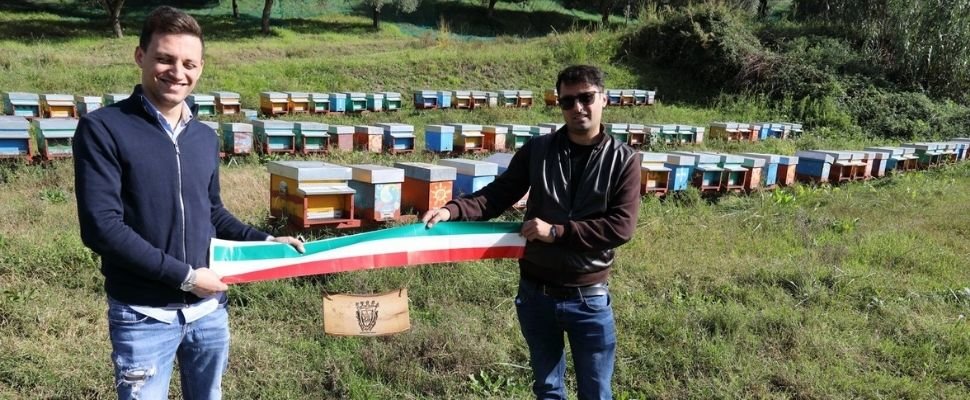 Casate Normanne: scopri i prodotti