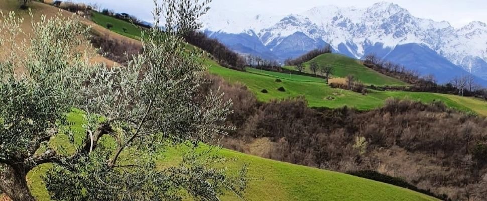 Fattoria Cretarola: scopri i prodotti