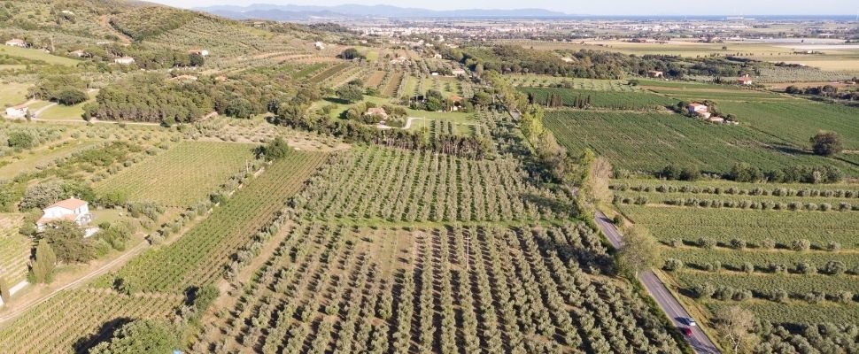 Il Bottaccio: scopri i prodotti