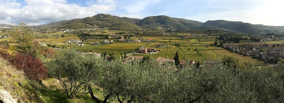 DolceVera: scopri i prodotti