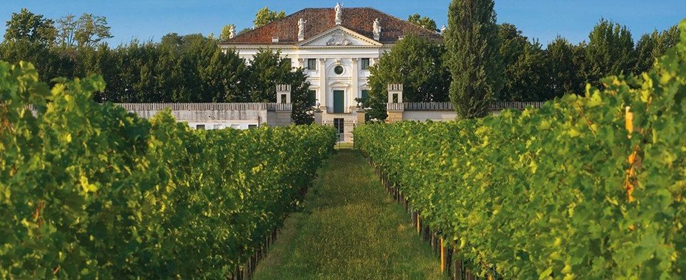Azienda Agricola Conte Loredan Gasparini: scopri i prodotti