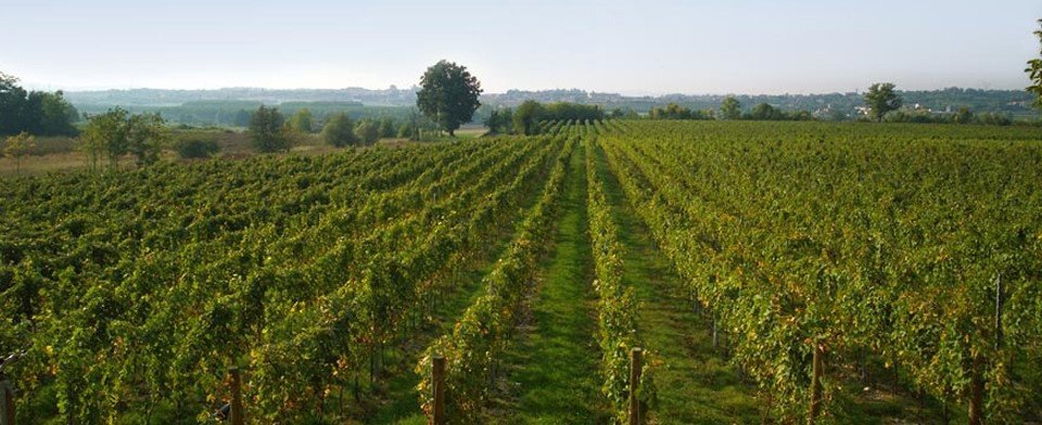 Azienda Agricola La Prendina: scopri i prodotti