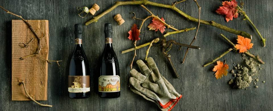 Casali Viticultori: scopri i prodotti
