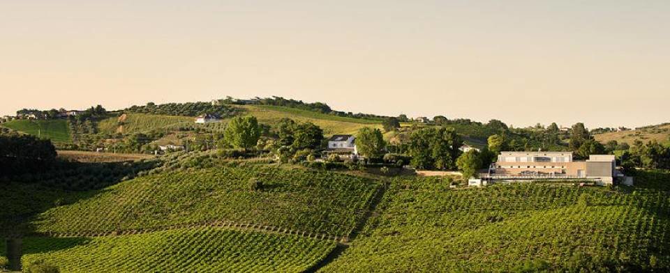Fattoria La Valentina: scopri i prodotti
