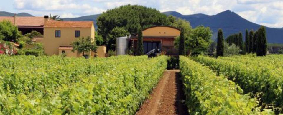 Fattoria Terra del Marchesato: scopri i prodotti