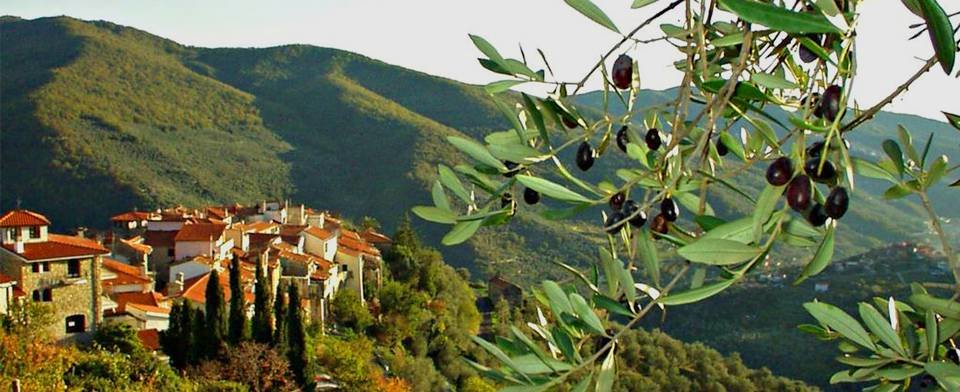 Ranise: scopri i prodotti