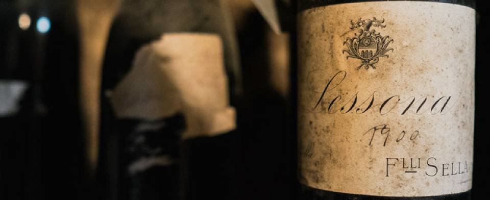 Tenuta Sella: scopri i prodotti