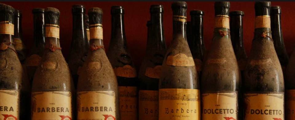 Viotti Vini: scopri i prodotti