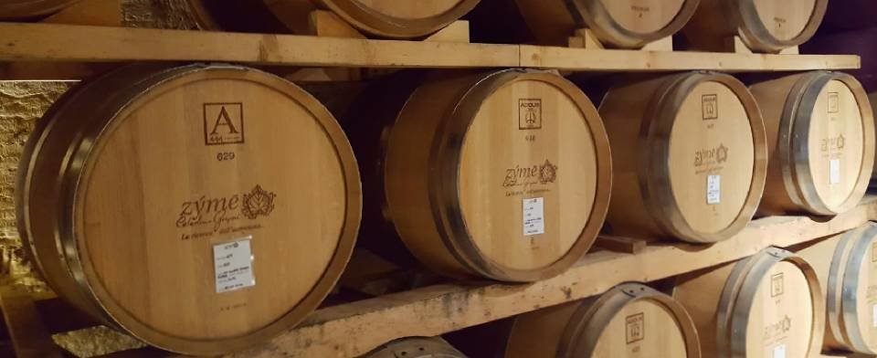 Zyme: scopri i prodotti
