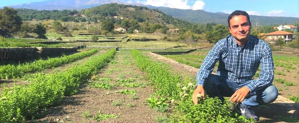 Due Palmenti: scopri i prodotti
